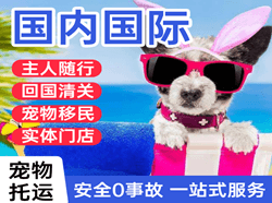 临沂启阳空运国际宠物托运 【国